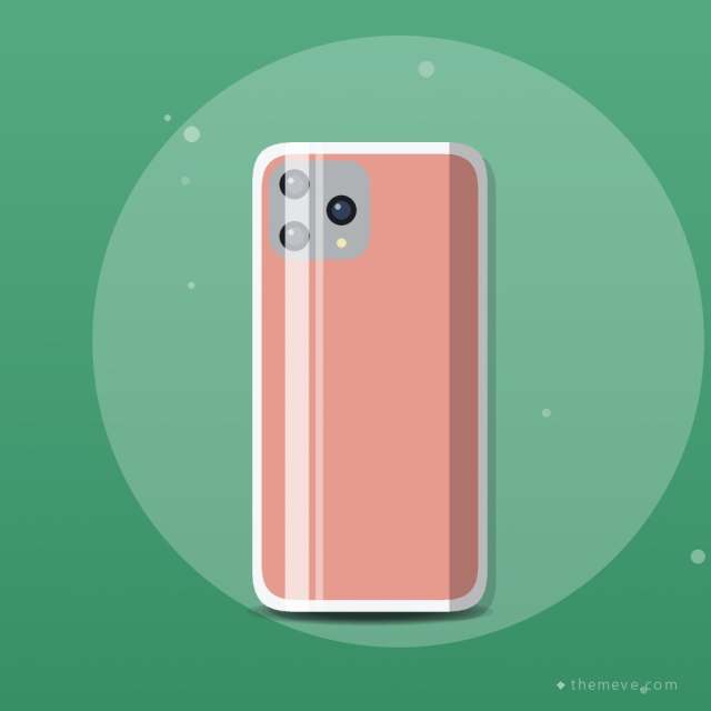 Shockproof Clear Case